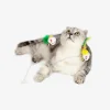 WhiskerChase Cat Teaser Wand