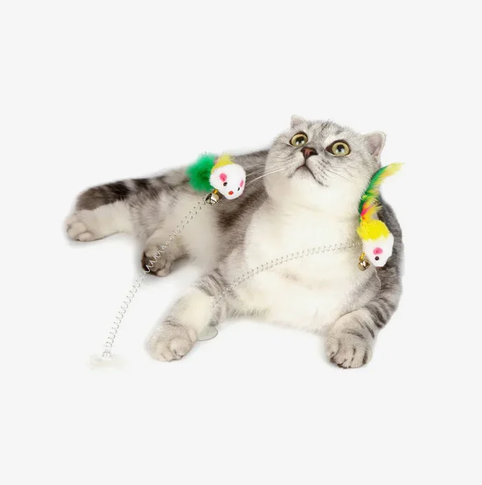 WhiskerChase Cat Teaser Wand