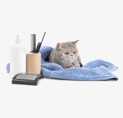 Soft Pined Pet's Grooming Brush