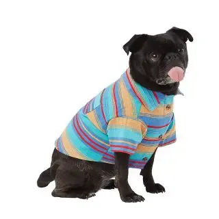 Blue Stripe Button Up Dog Shirt