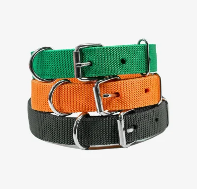 Buckled Polyester Dog Belt