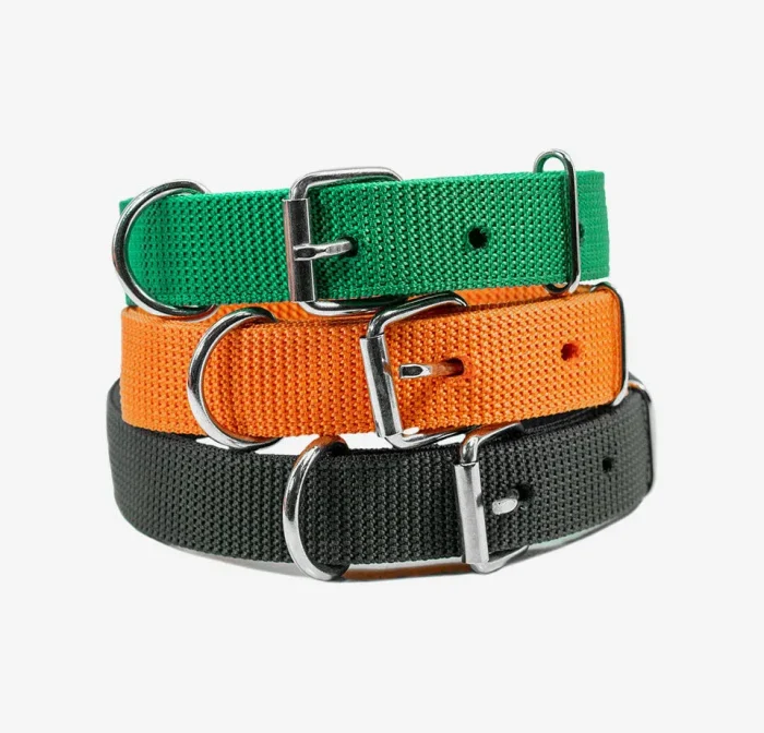 Buckled Polyester Dog Belt
